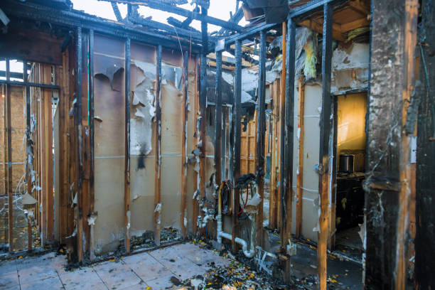 Professional Fire Damage Repair technician working in Lake Stickney, WA